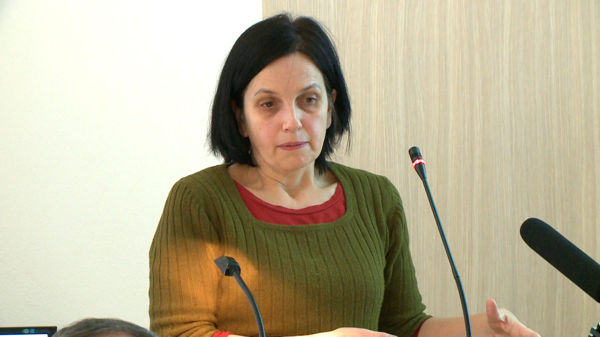 Jana Belišová – Ethnology  and Musicology Research in the Field of Romani Music