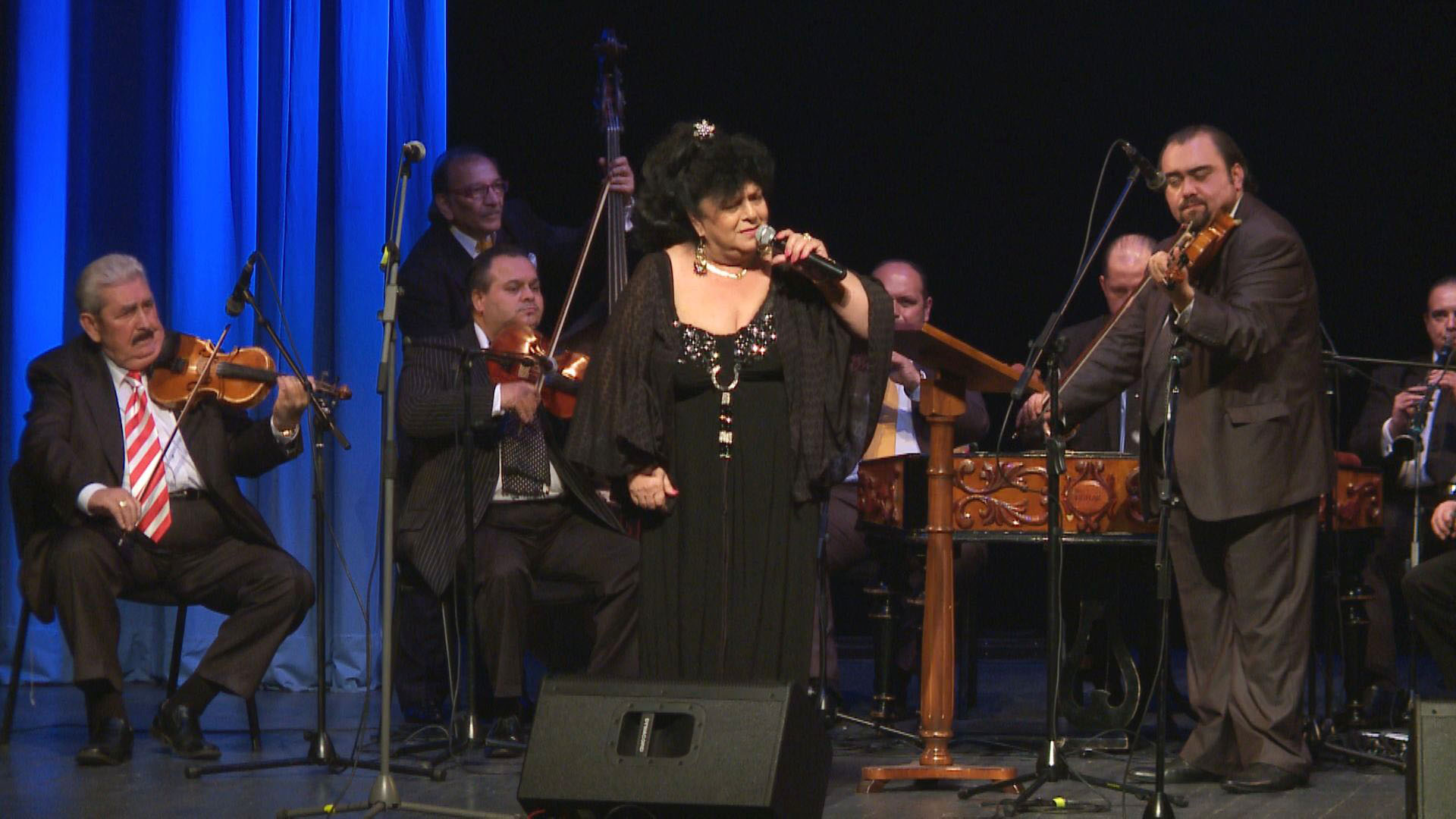 Biháriho slávnosti 2013