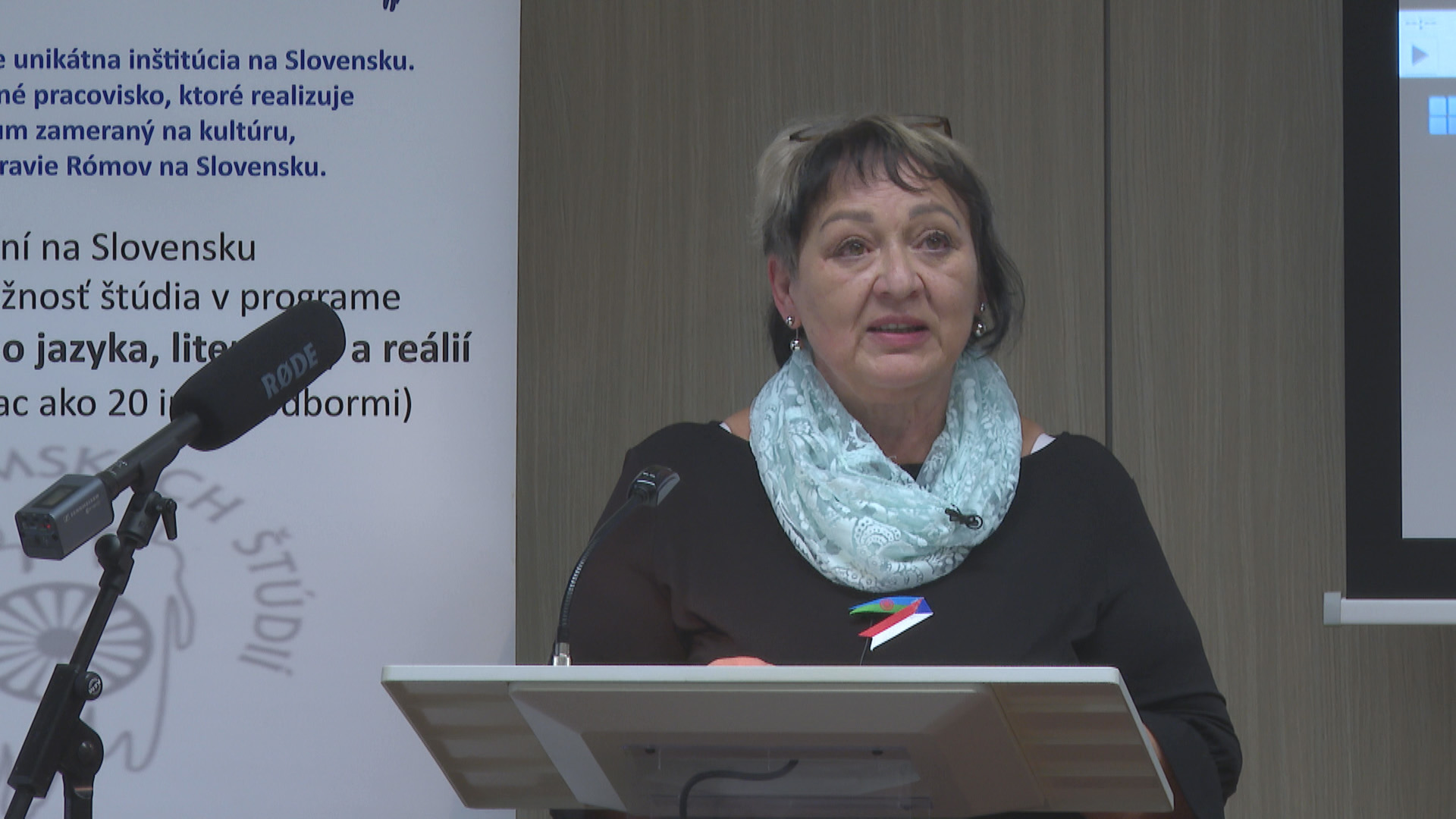 Eva Danišová – Současná romská literatura v České republice – osobní pohled na romskou literaturu a překlady z českého jazyka.
